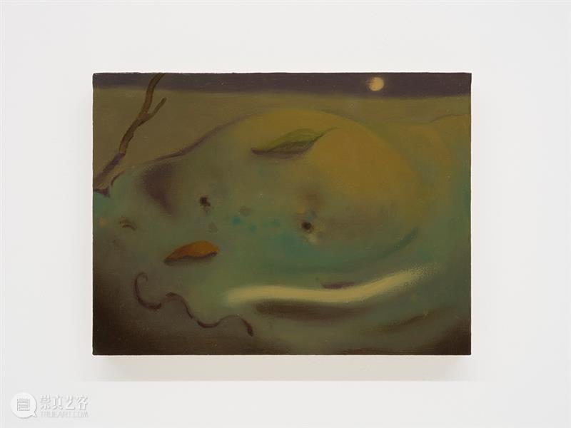 胶囊|郑喆欣:静默的渗透|展览现场 崇真艺客