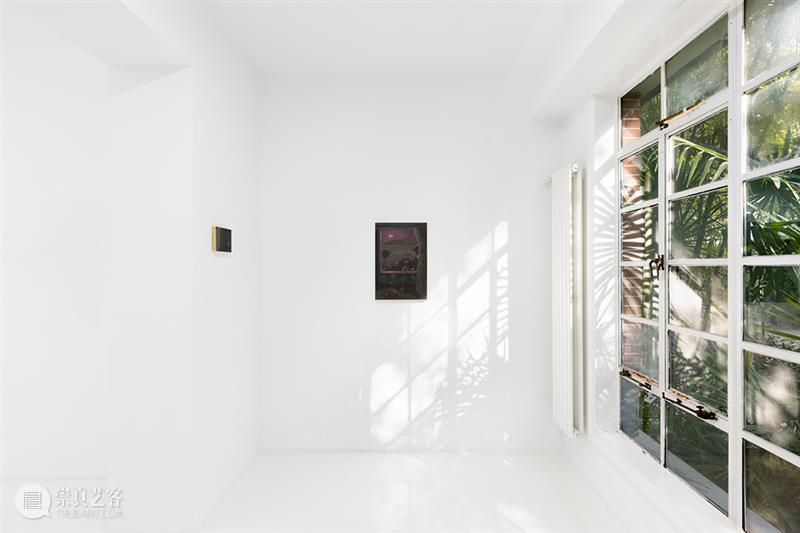 胶囊|郑喆欣:静默的渗透|展览现场 崇真艺客
