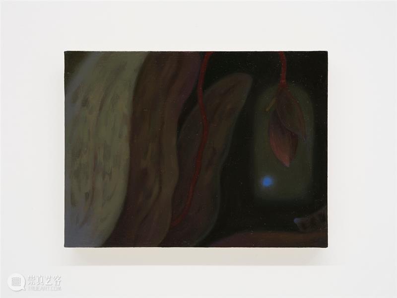 胶囊|郑喆欣:静默的渗透|展览现场 崇真艺客