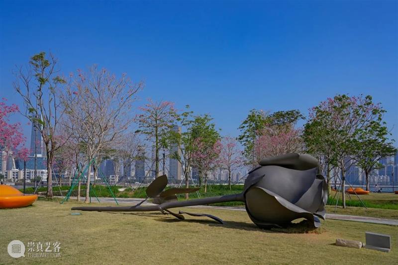 第七届深圳湾公共艺术季·诗意的栖居——太子湾展区启幕? 崇真艺客