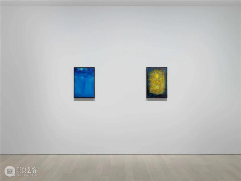 展览现场｜迪伦·克劳斯（Dylan Solomon Kraus）「牺牲的喜悦」@ 阿尔敏·莱希 - 纽约 崇真艺客