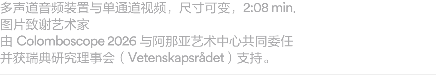 新闻｜阿那亚艺术中心本馆和广州馆宣布2026年展览计划 崇真艺客