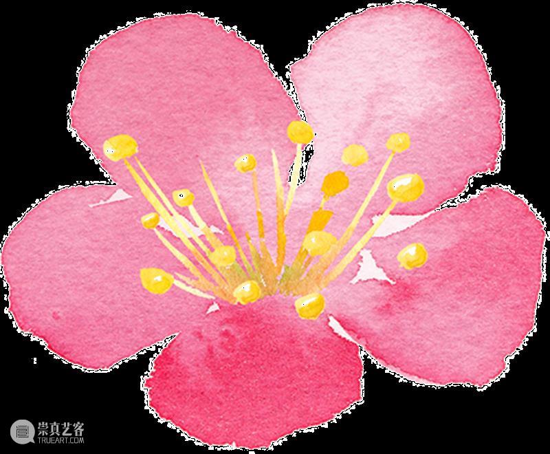 节气 | 立春 · 张大千《红山茶》 崇真艺客