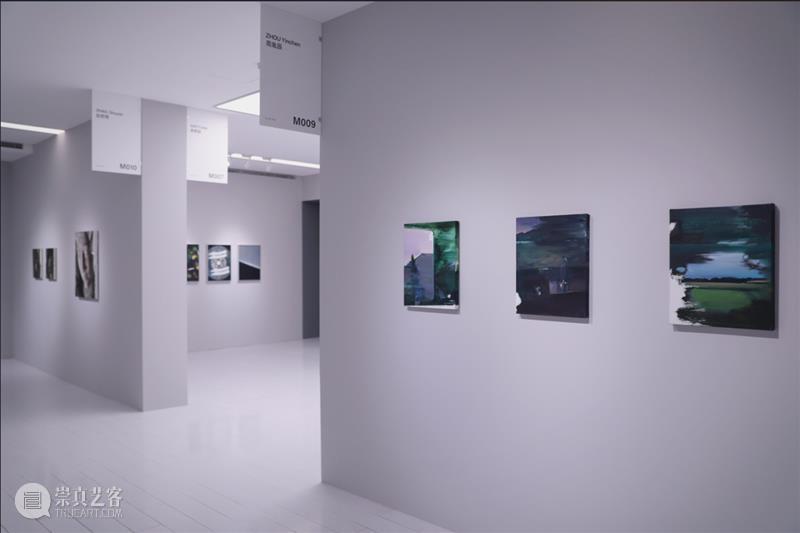 M艺术空间展览现场&访谈 | 56号展位 M009 周胤辰 BoothM56 ZHOU Yinchen 崇真艺客