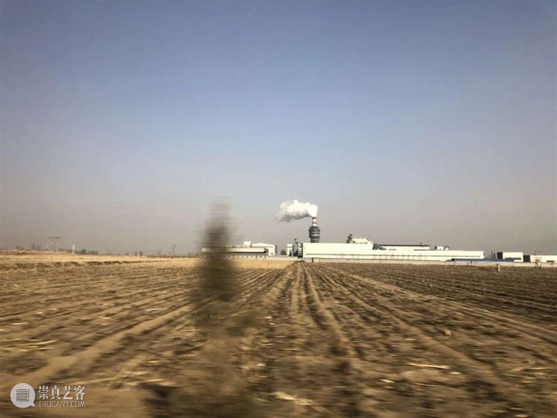 M艺术空间展览现场&访谈 | 56号展位 M009 周胤辰 BoothM56 ZHOU Yinchen 崇真艺客
