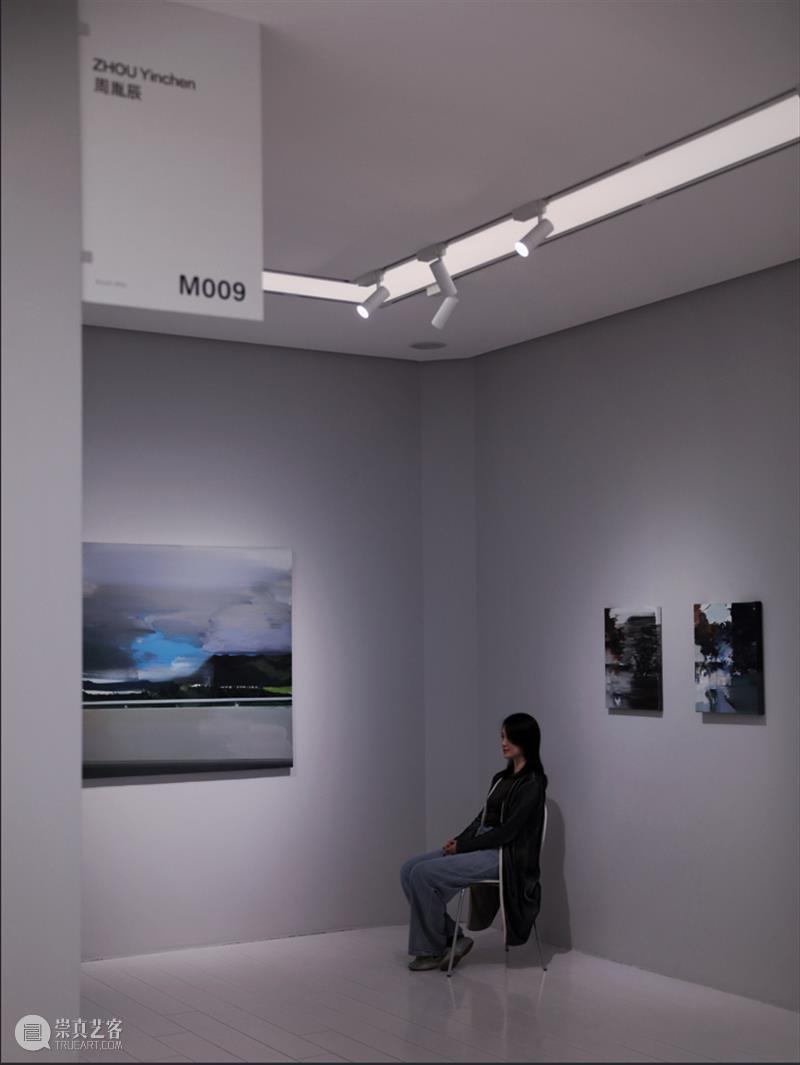 M艺术空间展览现场&访谈 | 56号展位 M009 周胤辰 BoothM56 ZHOU Yinchen 崇真艺客