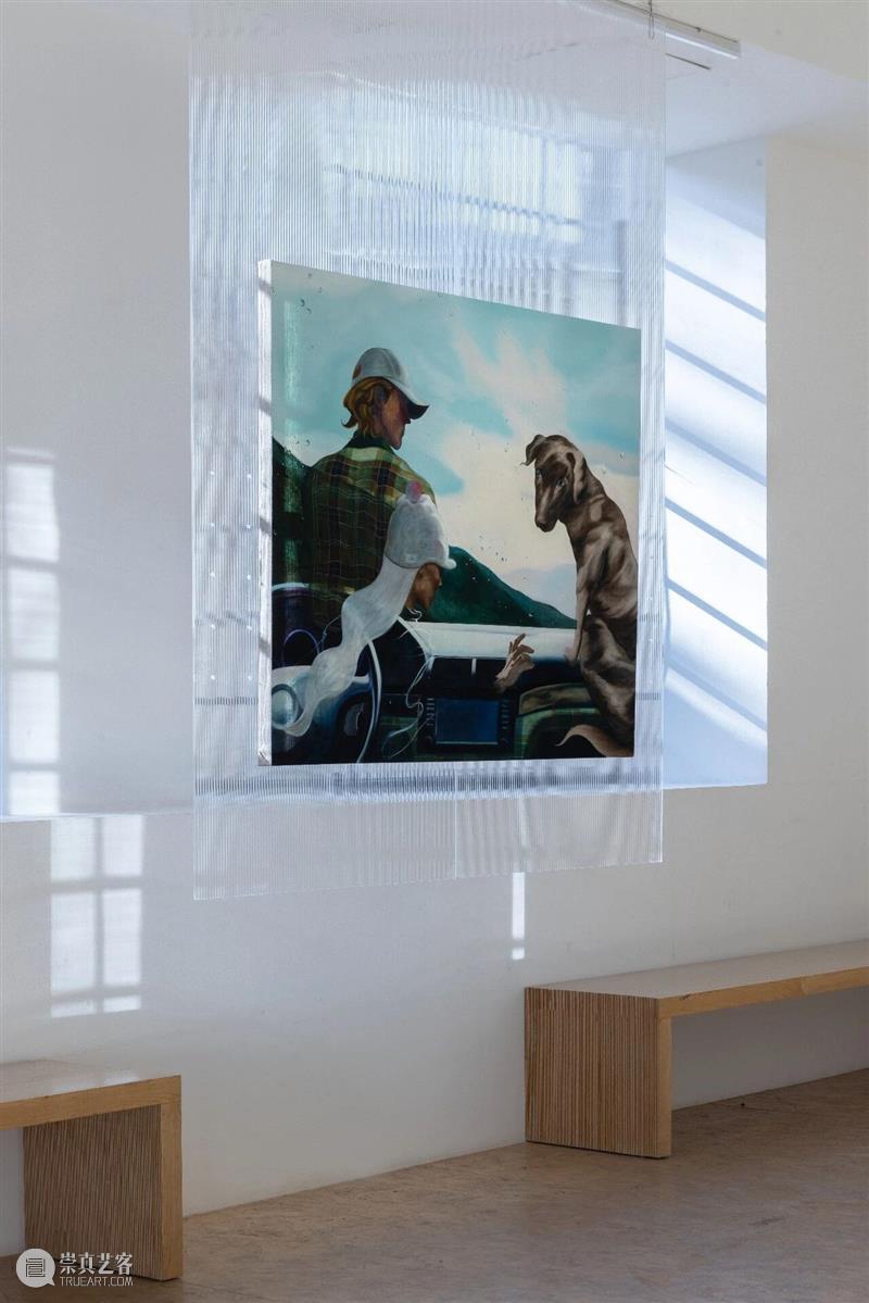 展览现场｜群展“人群是一个幻觉 它并不存在 我是在与你们个别交谈” 崇真艺客