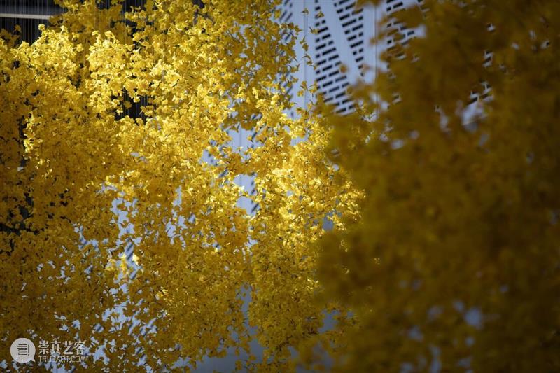 寒假一日营！带上一台宝丽来，去上海双年展“环游世界” 崇真艺客