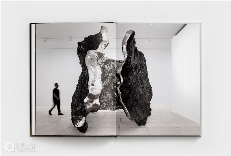 画册发布｜廖生祥个展同名画册「另类生长」新书发布 崇真艺客