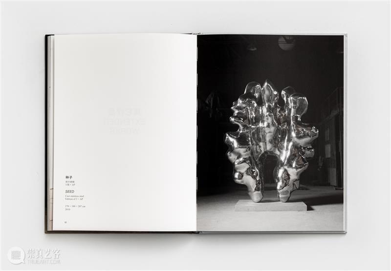 画册发布｜廖生祥个展同名画册「另类生长」新书发布 崇真艺客