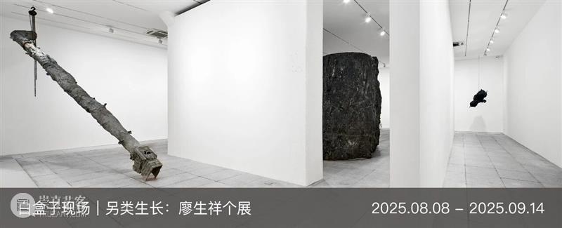 画册发布｜廖生祥个展同名画册「另类生长」新书发布 崇真艺客