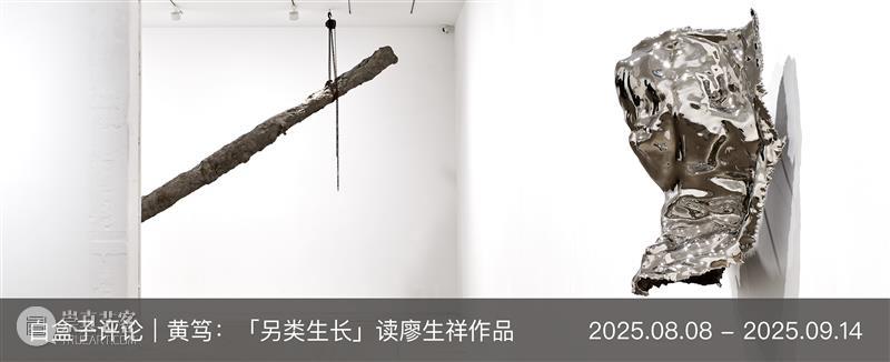 画册发布｜廖生祥个展同名画册「另类生长」新书发布 崇真艺客