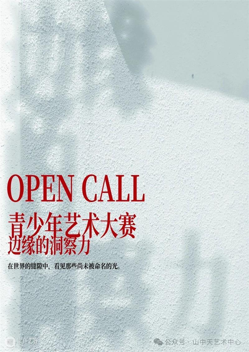 【青少年艺术大赛丨边缘的洞察力】征集延期 崇真艺客