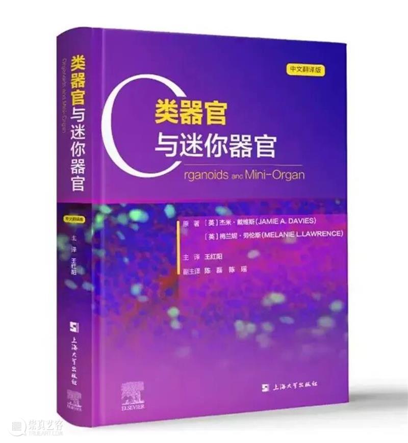 ASE 荐书｜展览特别呈现：医学档案单元书籍特辑（六） 崇真艺客