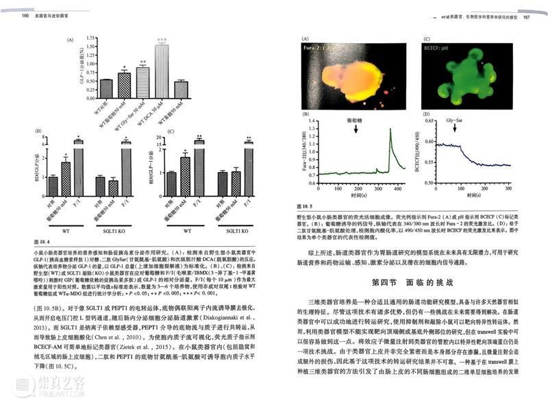 ASE 荐书｜展览特别呈现：医学档案单元书籍特辑（六） 崇真艺客