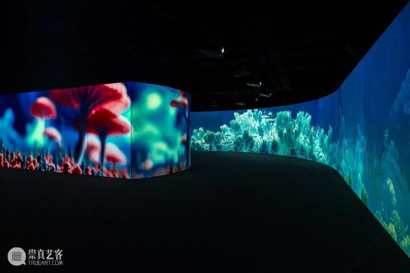 UCCA Lab丨“涌动的未来——AI文明艺术展”在联想北京未来中心正式启幕   崇真艺客