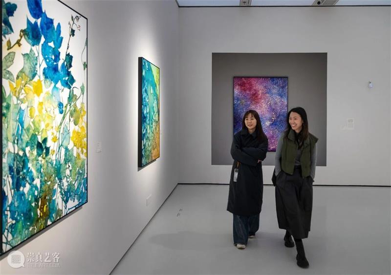 读懂艺术家 | 把观看还给大地：浸润、孕育与“物影”的生成—— 王牧羽×王宁德×邓广燊 崇真艺客