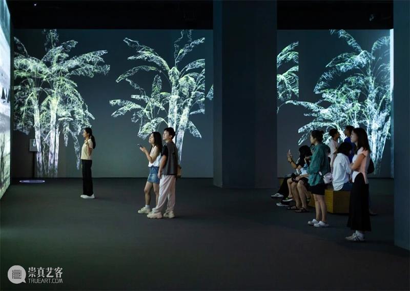 广东美术馆2026新年艺术季 | 马年新春，艺脉相承：广东美术馆 2026 春节展览活动全攻略 崇真艺客