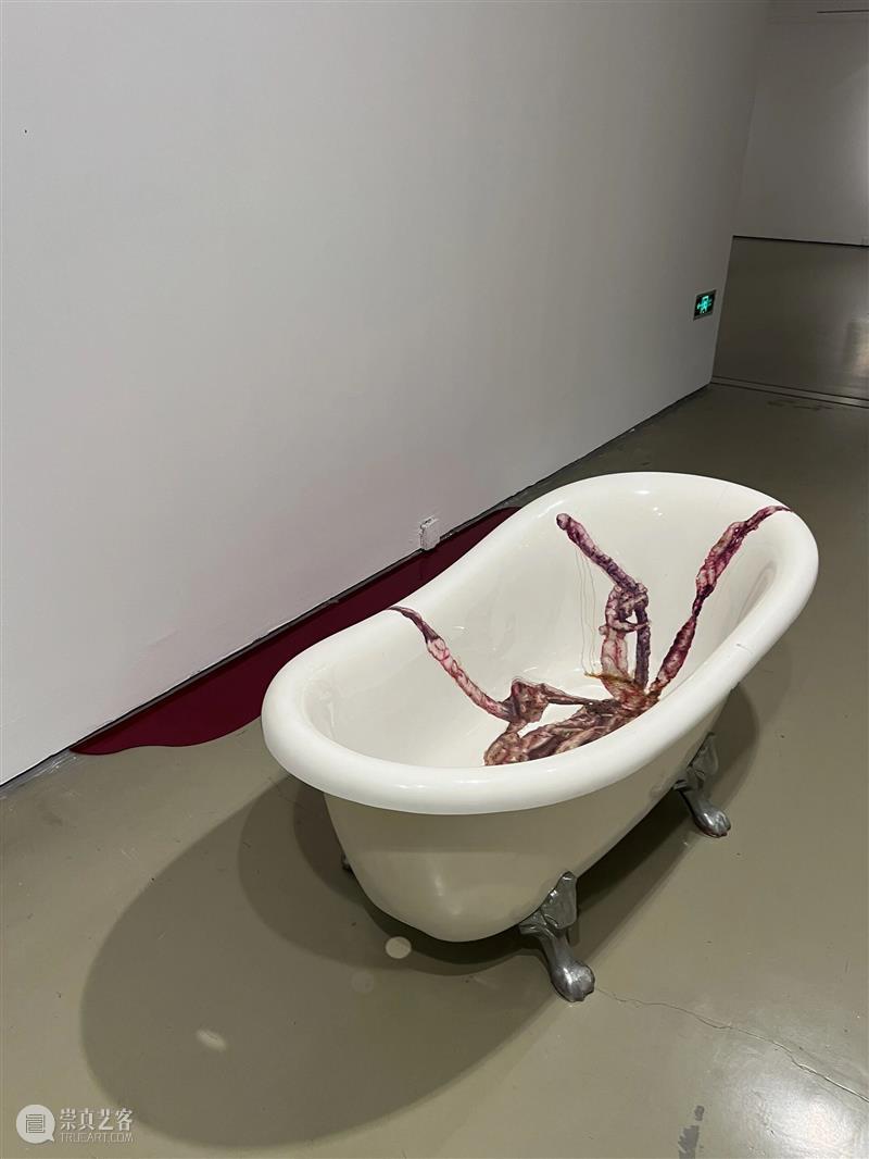 蔡锦在今日美术馆1号馆作品“展期至2026年3 崇真艺客