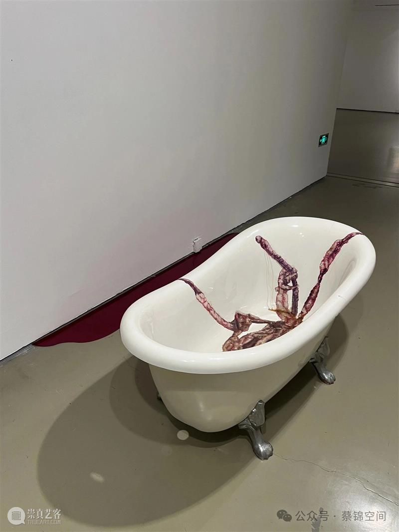 蔡锦在今日美术馆1号馆作品“展期至2026年3 崇真艺客