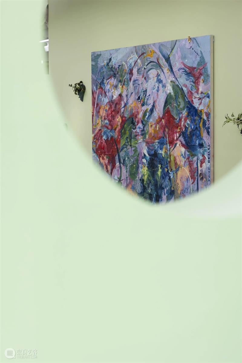 Longlati写作 | 李素超：色彩、植物与感官的嘉年华 博文精选 Longlati 崇真艺客