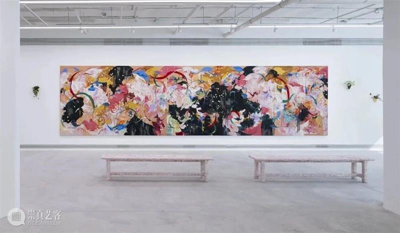 Longlati写作 | 李素超：色彩、植物与感官的嘉年华 博文精选 Longlati 崇真艺客