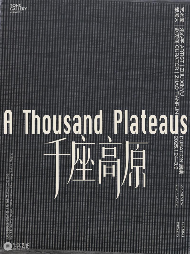 Tong Gallery+Projects|2025年度展览回顾 崇真艺客