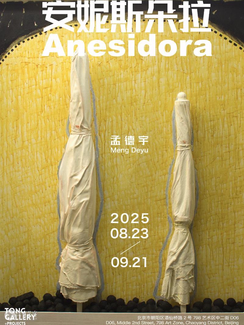 Tong Gallery+Projects|2025年度展览回顾 崇真艺客