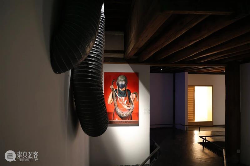 新春展讯 |『柳暗花明』- 骰子俱乐部第四回展启幕 崇真艺客