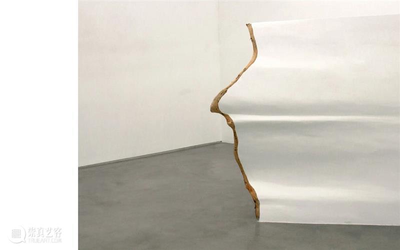 五粮液『明天雕塑奖』历届获奖作品 2013-2025 崇真艺客