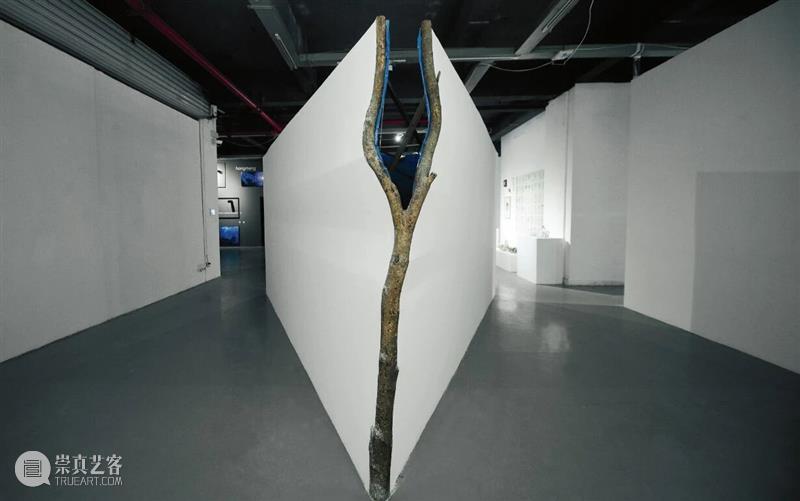 五粮液『明天雕塑奖』历届获奖作品 2013-2025 崇真艺客