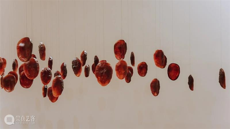 五粮液『明天雕塑奖』历届获奖作品 2013-2025 崇真艺客