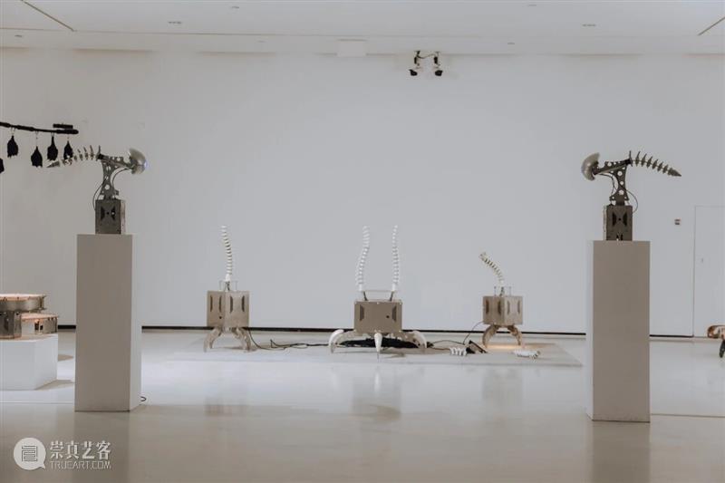五粮液『明天雕塑奖』历届获奖作品 2013-2025 崇真艺客