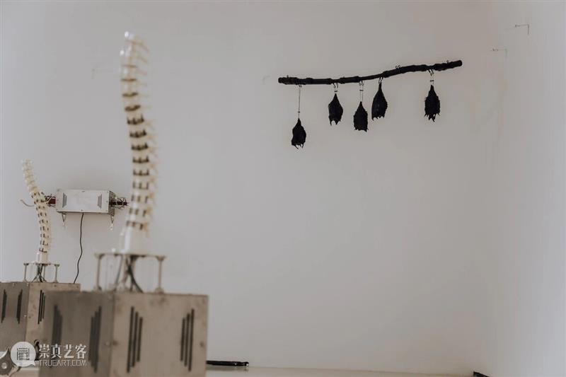 五粮液『明天雕塑奖』历届获奖作品 2013-2025 崇真艺客
