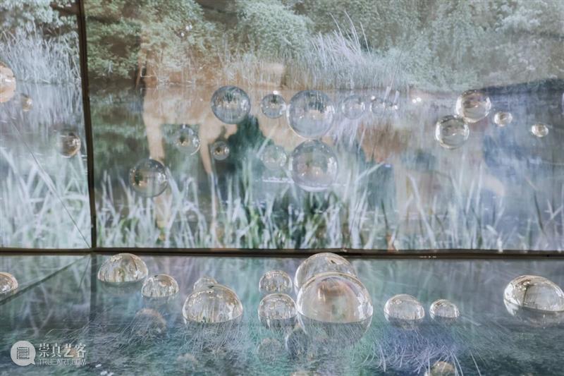 五粮液『明天雕塑奖』历届获奖作品 2013-2025 崇真艺客