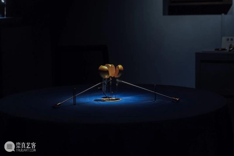 五粮液『明天雕塑奖』历届获奖作品 2013-2025 崇真艺客