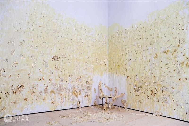五粮液『明天雕塑奖』历届获奖作品 2013-2025 崇真艺客