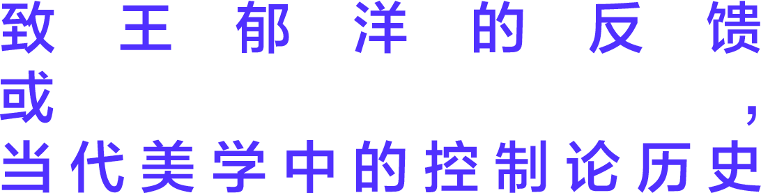 切入 | 致王郁洋的“反馈” 崇真艺客