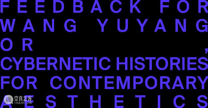 Approach | FEEDBACK for Wang Yuyang 崇真艺客
