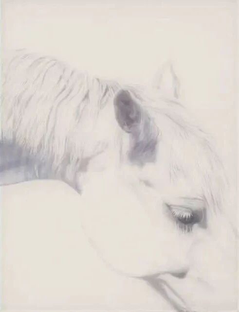 您有一封新春来信｜“以梦为马——丙午新春特展”即将开幕 崇真艺客