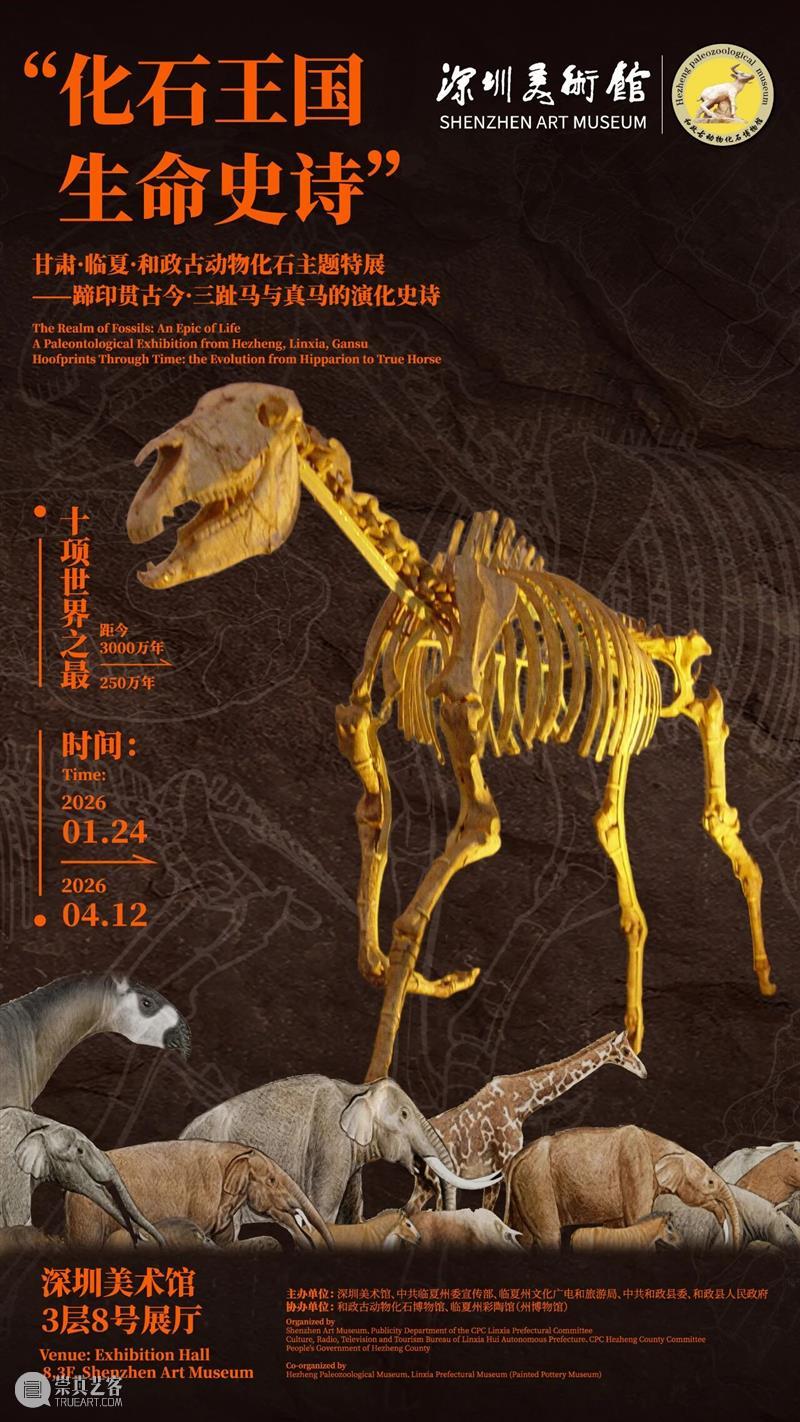 策马迎新|深圳美术馆春节观展全攻略 崇真艺客