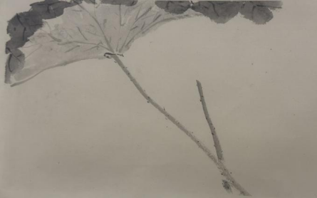 教学回顾 | 北京画院张镇华导师“中国传统人物画与线描临摹”研学班完美收官 崇真艺客