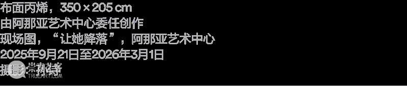 阅读｜孙一钿：《她在等，但她不哭了》  阿那亚艺术中心 崇真艺客