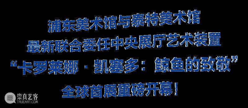 2月12日起中央展厅新展开幕！“卡罗莱娜·凯塞多：鲸鱼的致敬” 全球首发！ 崇真艺客