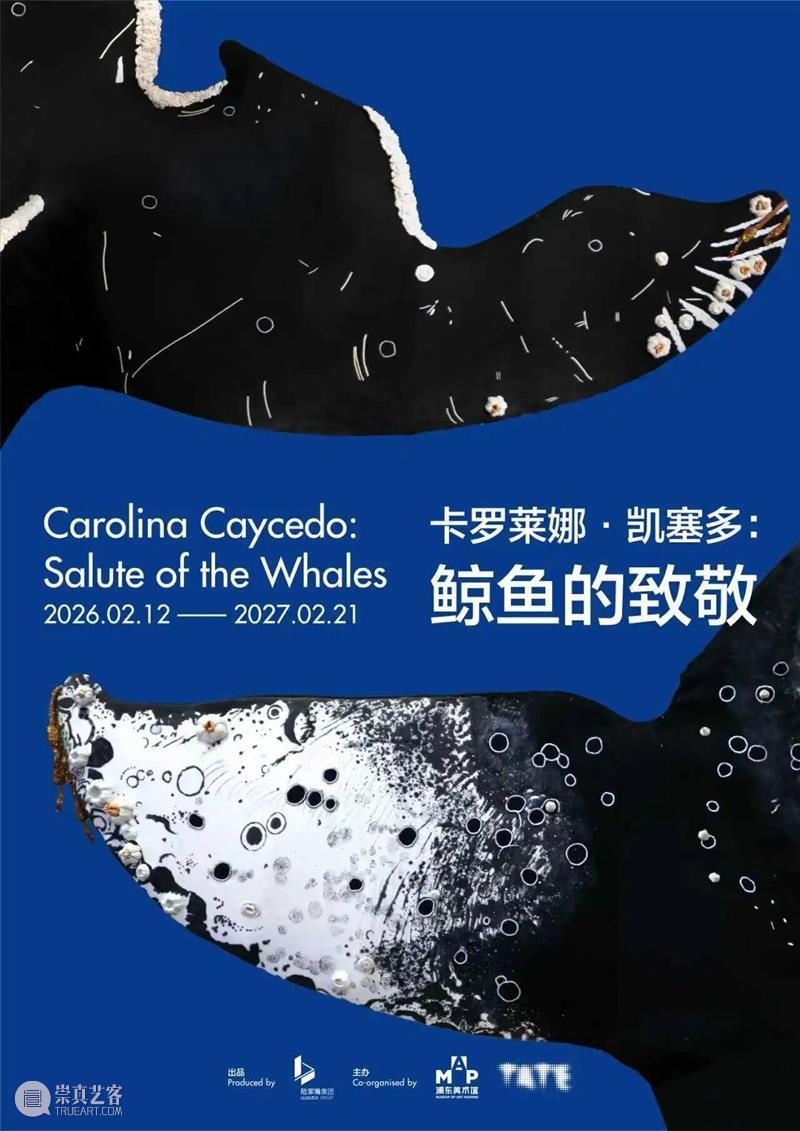 2月12日起中央展厅新展开幕！“卡罗莱娜·凯塞多：鲸鱼的致敬” 全球首发！ 崇真艺客
