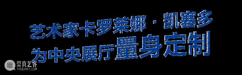 2月12日起中央展厅新展开幕！“卡罗莱娜·凯塞多：鲸鱼的致敬” 全球首发！ 崇真艺客