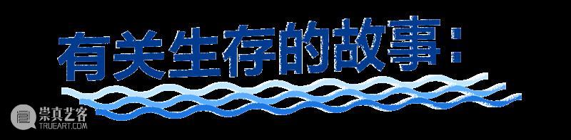 2月12日起中央展厅新展开幕！“卡罗莱娜·凯塞多：鲸鱼的致敬” 全球首发！ 崇真艺客