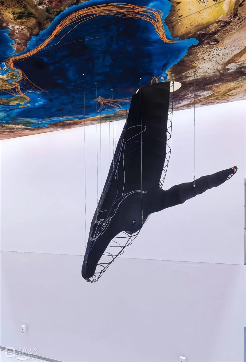 2月12日起中央展厅新展开幕！“卡罗莱娜·凯塞多：鲸鱼的致敬” 全球首发！ 崇真艺客