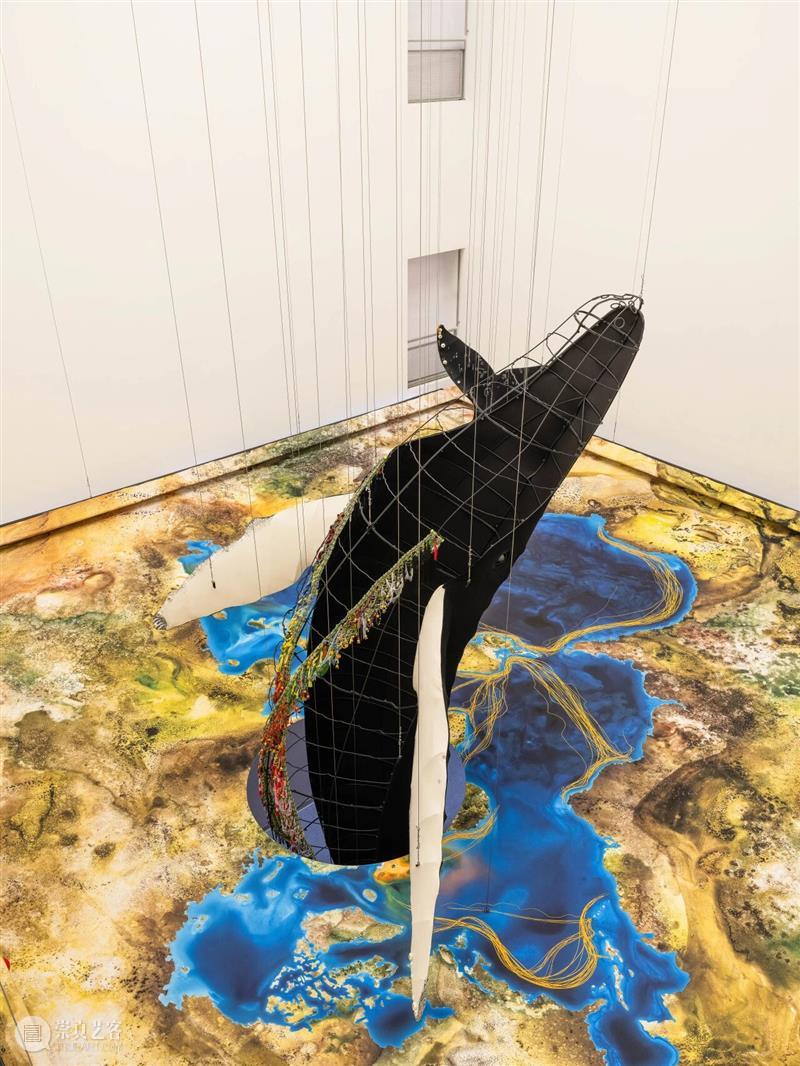 2月12日起中央展厅新展开幕！“卡罗莱娜·凯塞多：鲸鱼的致敬” 全球首发！ 崇真艺客
