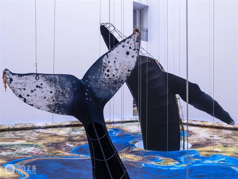2月12日起中央展厅新展开幕！“卡罗莱娜·凯塞多：鲸鱼的致敬” 全球首发！ 崇真艺客